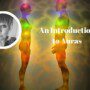 An introduction to Auras